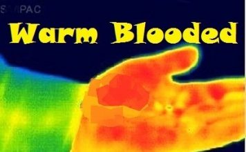 Warm-Blooded Church Growth Solutions Church Growth Solutions