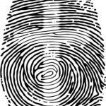 Kingdom Identity
