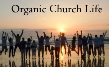 In Search of Organic Church Life organic church life