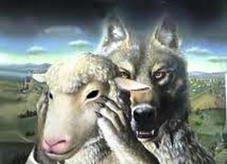 How to Discern False Apostles by Weibold/Newby how to discern false apostles