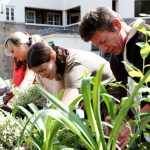difference between cultivating community and building a church
