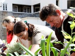 difference between cultivating community and building a church