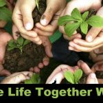 live life together well