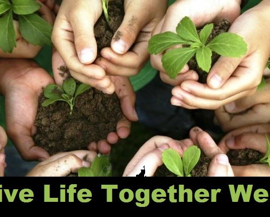 live life together well