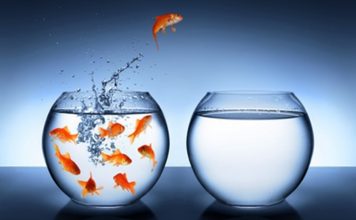 Going Rogue from Religion – Join Me? Rogue from Religion