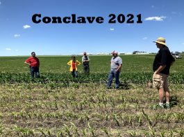 Conclave Dream